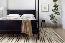 BEN-01 IVORY / CHARCOAL -Loloi Rugs BENEBEN 01IVCC 5Broomscene hidden 5D 5