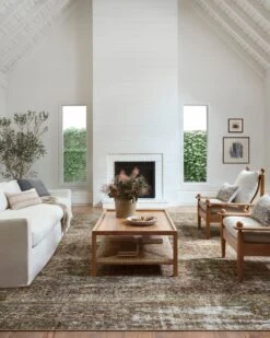 Loloi Rugs 11 Loloi Rugs -Loloi Rugs BILLBIL 06TORU 5Broomscene 5D 2 c485c29c e5e9 470a be60 5673123786e3