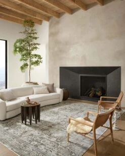 Loloi Rugs 9 Loloi Rugs -Loloi Rugs BONYBNY 02MOSN 5Broomscene 5D 2