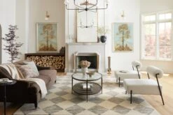 FRA-01 CJ BEIGE / CHARCOAL -Loloi Rugs FRASFRA 01BECC 5Broomscene hidden 5D 5