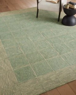 FRA-02 CJ GREEN / NATURAL -Loloi Rugs FRASFRA 02GRNA 5Broomscene 5D 16