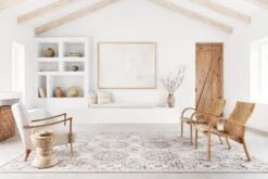 JOA-03 IVORY / CHARCOAL -Loloi Rugs JOAQJOA 03IVCC 5Broomcene hidden 5D 3