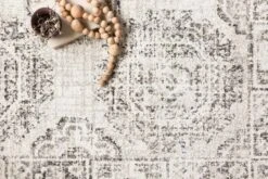 JOA-03 IVORY / CHARCOAL -Loloi Rugs JOAQJOA 03IVCC 5Broomscene 5D 2