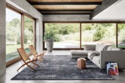 LAZ-04 CHARCOAL / SILVER -Loloi Rugs LAIZLAZ 04CCSI 5Broomscene hidden 5D 4