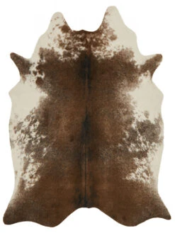 Grand Canyon Coffee/Ivory 3'10" X 5' Rug