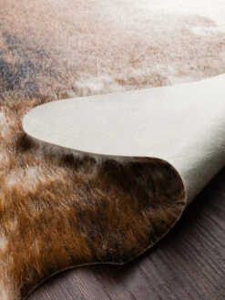 Grand Canyon Coffee/Ivory 3'10" X 5' Rug -Loloi Rugs LOIDS GRANDCANYON GC14 01