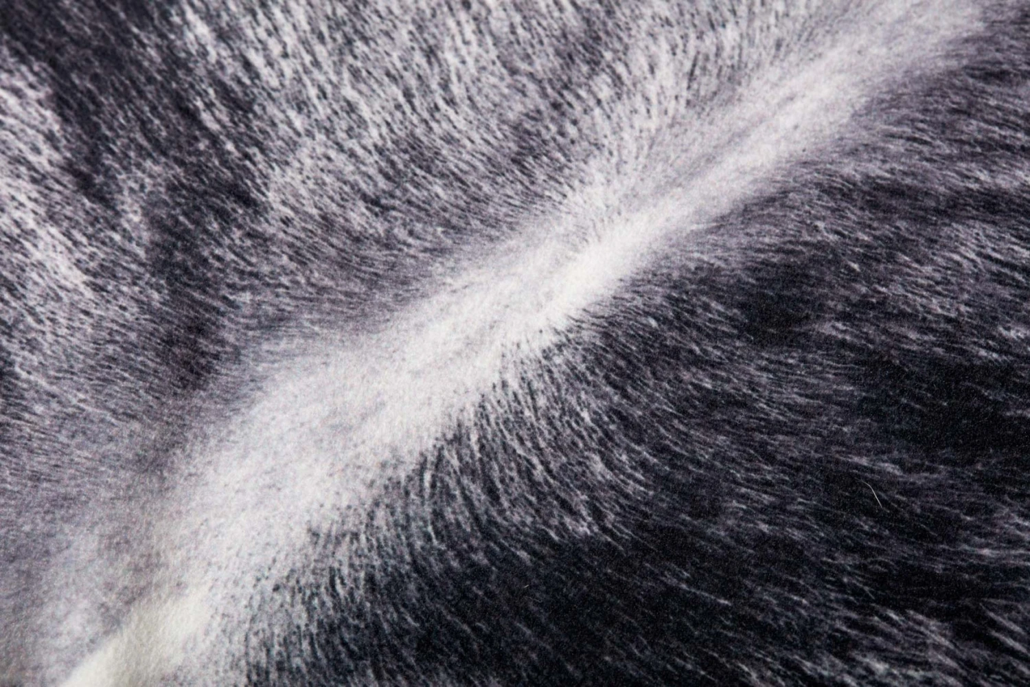 P0979 CHARCOAL 5 P0979 CHARCOAL - Image 3