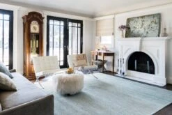 SG-01 LT. BLUE 8 SG-01 LT. BLUE -Loloi Rugs SERNSG 01LB00 5Broomscene hidden 5D 2 e2529d12 6a2b 4eb5 ad84 3aed8b4fa691