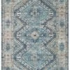 SKY-03 DENIM / NATURAL -Loloi Rugs SKYESKY 03DENA