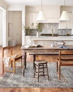 WYN-07 GREY / CHARCOAL -Loloi Rugs WYNTWYN 07GYCC 5Broomscene 5D 7